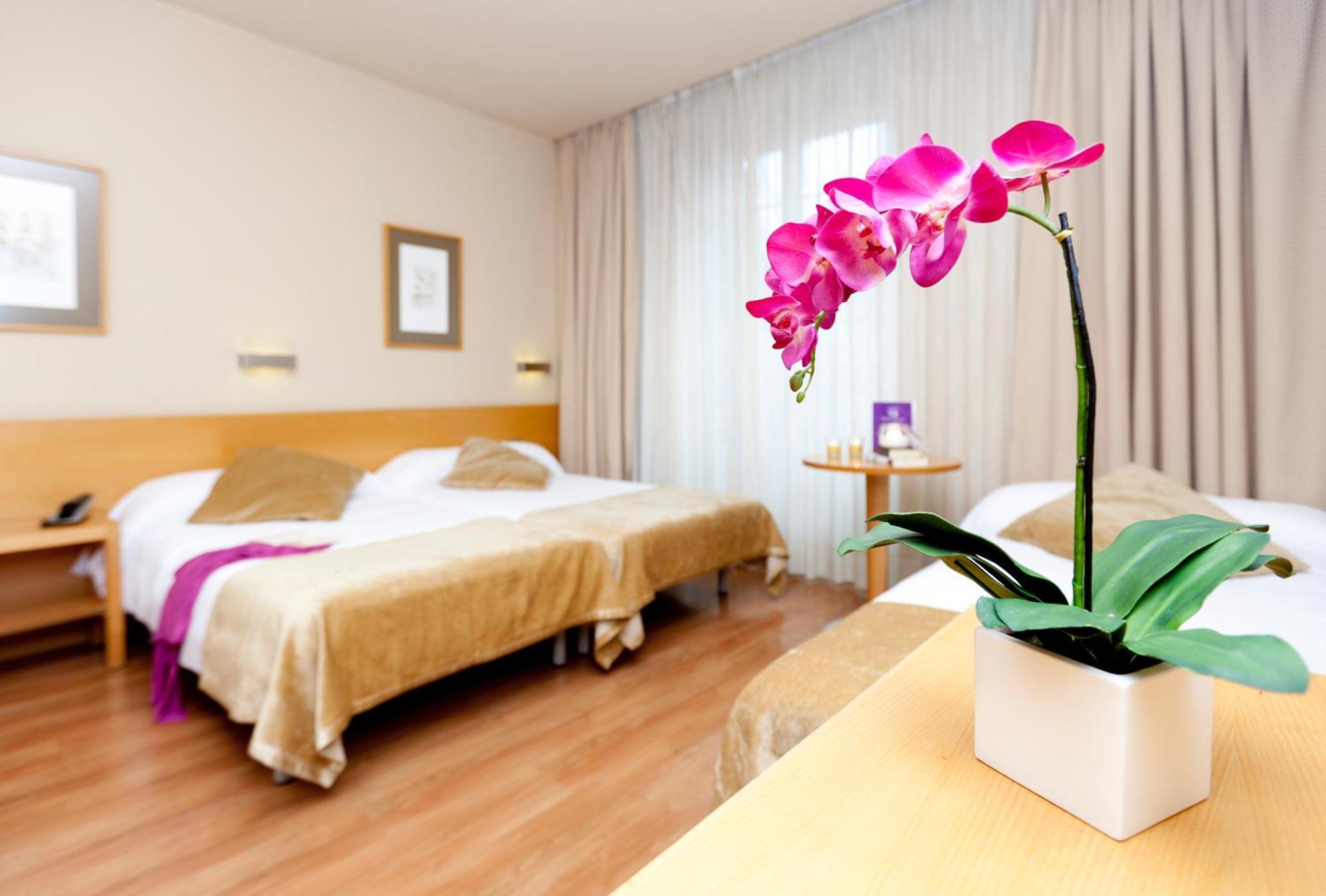 Triple Room,1187345797:JPEG